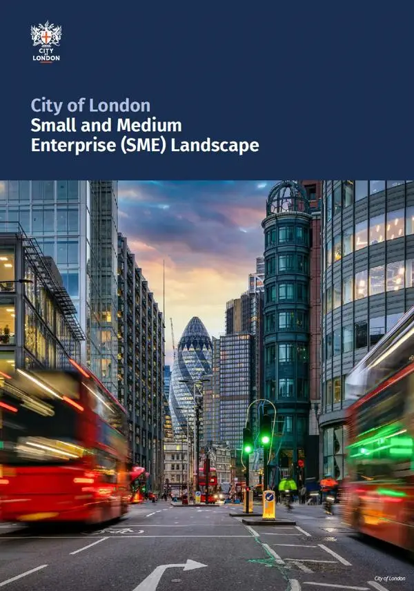 SME landscape report cover