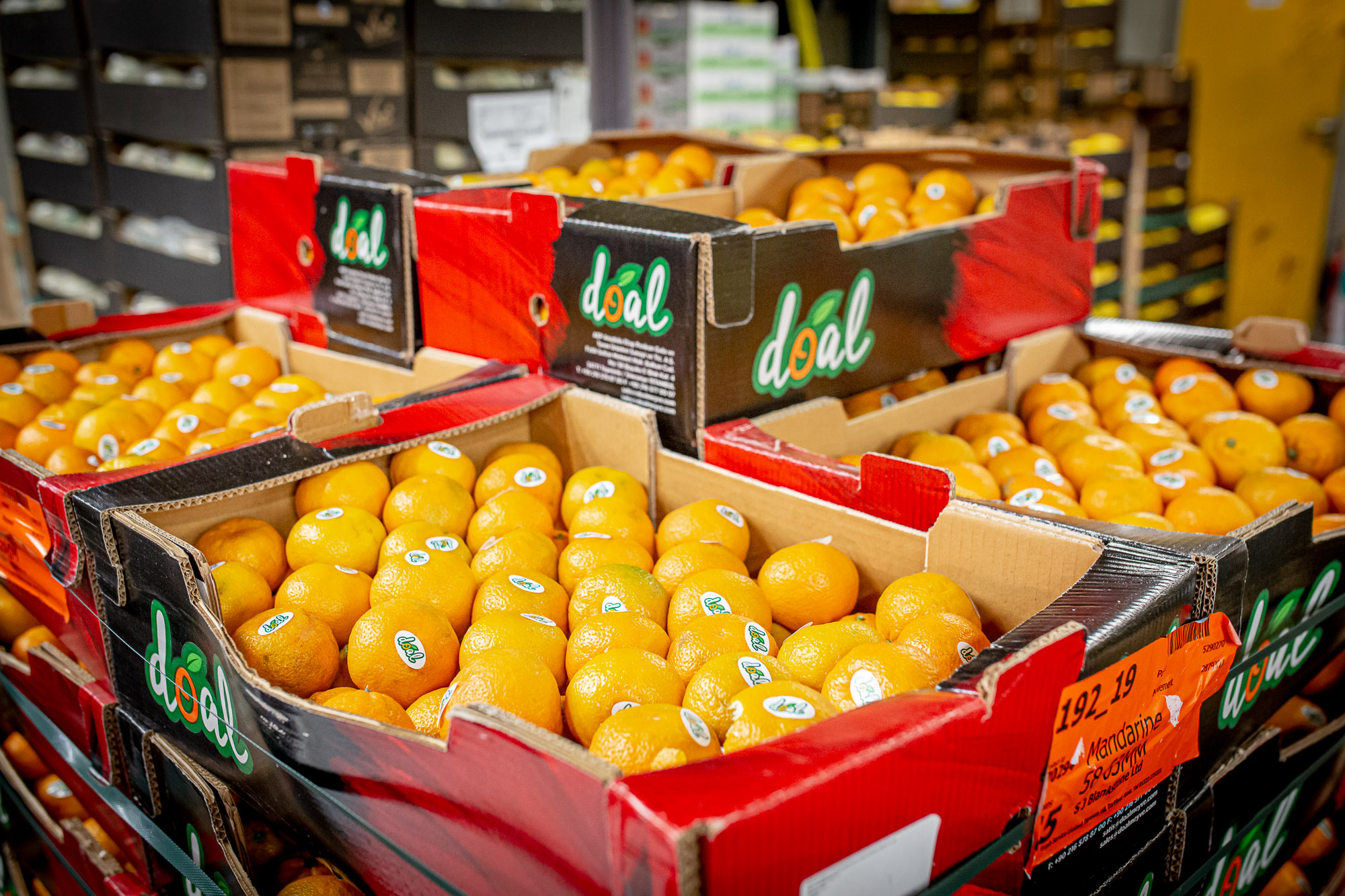 About New Spitalfields Market City Of London   New Spitalfields Cardboard Crates Filled With Oranges.x41cad6e6 