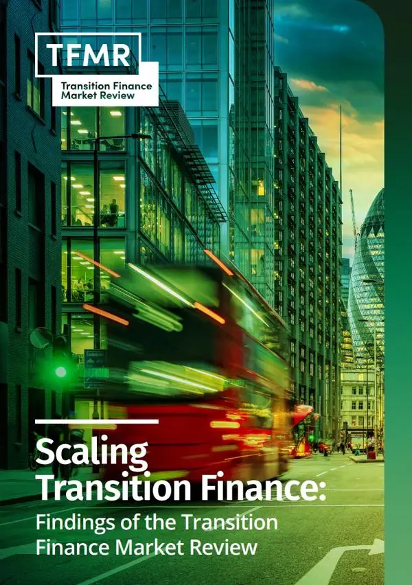 Scaling Transition Finance: Findings of the Transition Finance Market Review