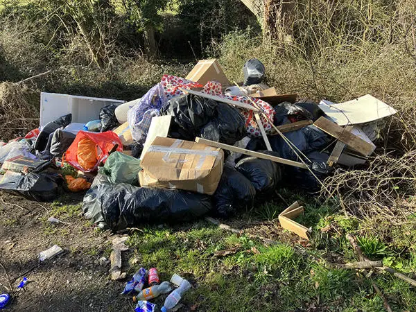 a pile of domestic waste and furniture illegally dumped in Epping Forest