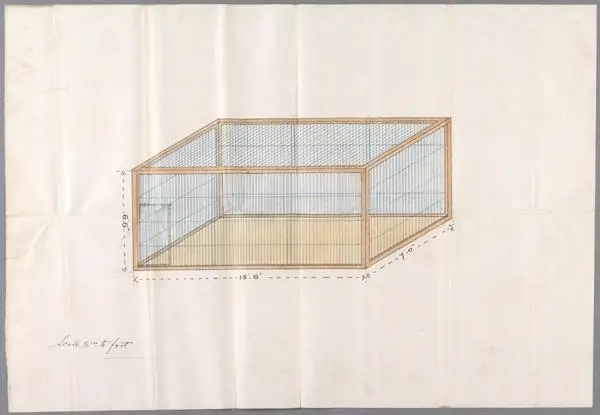 Drawing of a square box lion's cage