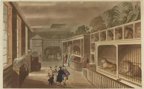 Print of people looking at animals in cages including lions, monkeys and an elephant