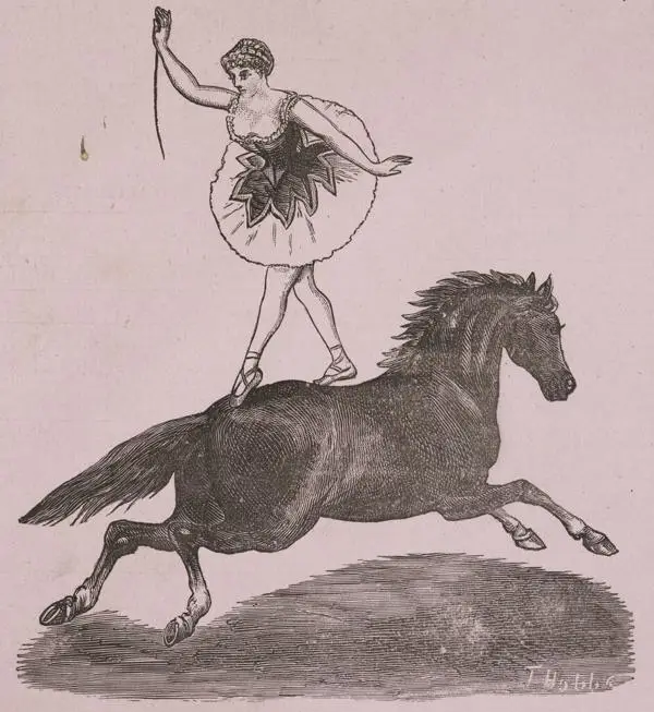 Engraving of a woman performer standing on a horse